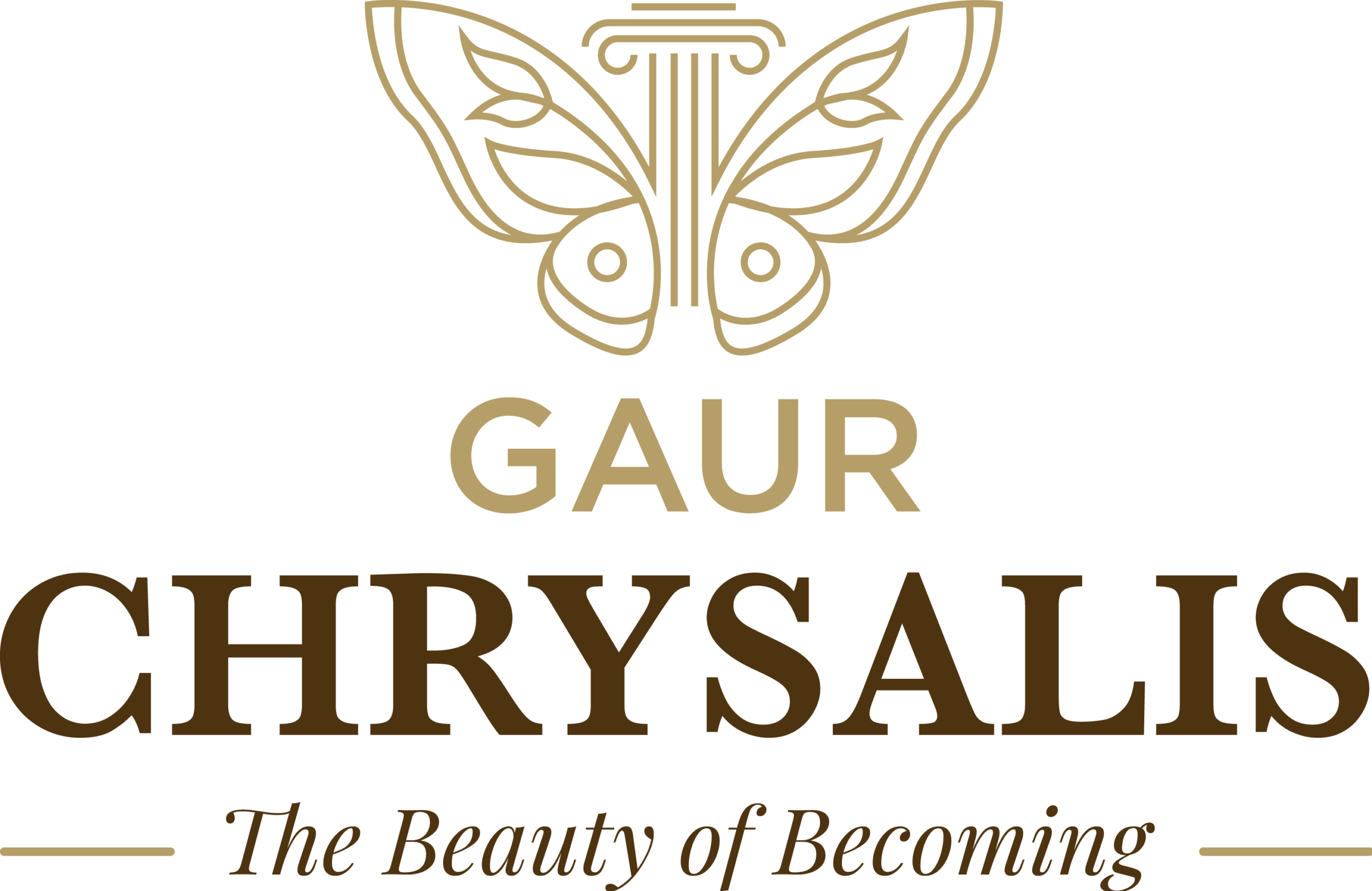 Gaur Chrysalis